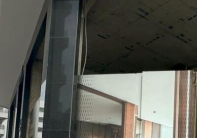 1000043733